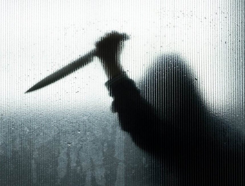 A mother and son were killed in Lajpat Nagar, Delhi, by their servant, police arrests accused