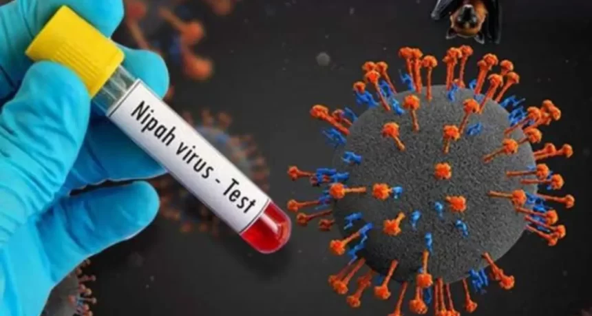 New Nipah Death Reported in Palakkad; Kerala Issues Alert in Six Districts