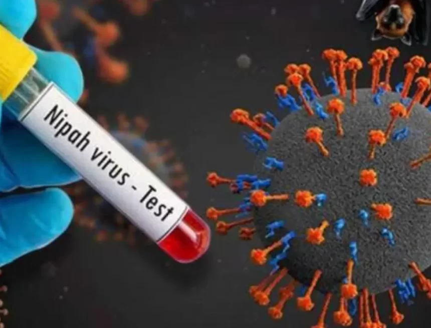 nipah-virusnaijpg_1751641661964 New Nipah Death Reported in Palakkad; Kerala Issues Alert in Six Districts