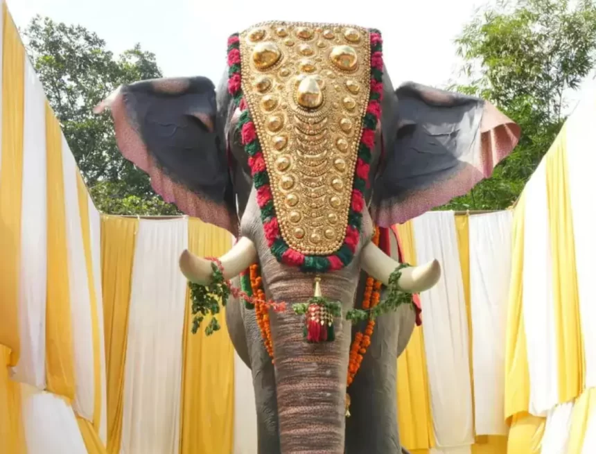 1862879-untitleddesign17 Jackie Shroff and PETA India Gift Life-Size Mechanical Elephant to Kerala Temple