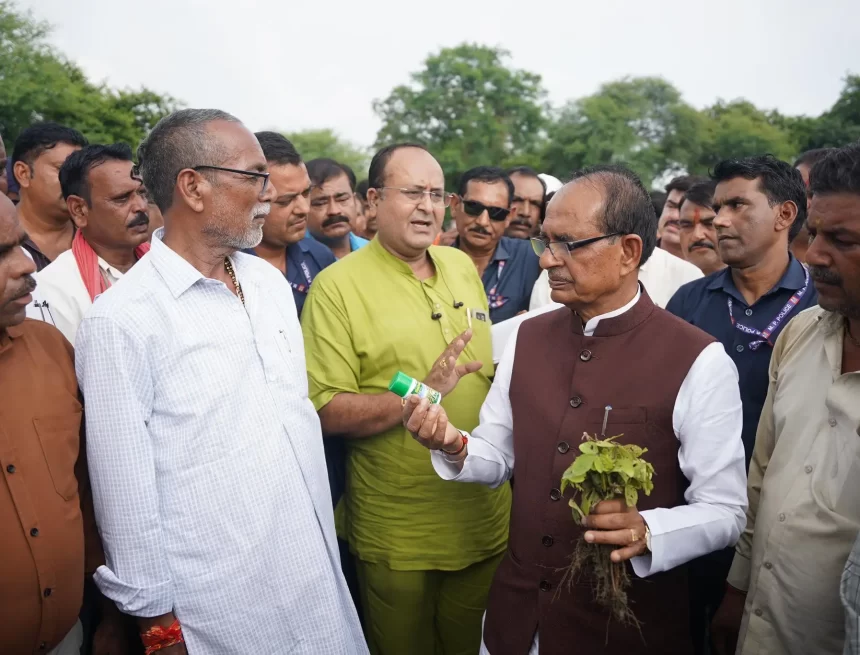 202508173483879-cb3eba0c-6e54-4dd6-9e28-3e9c34d0cbec Shivraj Singh Chouhan Inspects Soybean Fields After Farmers Report Crop Damage