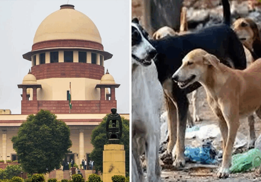 SupremeCourtandDog Supreme Court Orders Removal of All Stray Dogs From Delhi-NCR: Sparks Outrage and Support Online