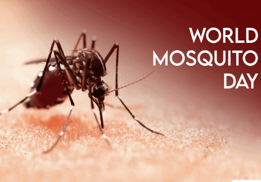 World Mosquito Day 2025: History, Importance, and Global Call for Disease Prevention