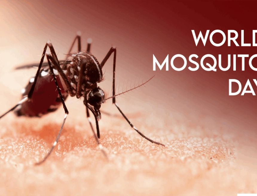Untitled-2 World Mosquito Day 2025: History, Importance, and Global Call for Disease Prevention