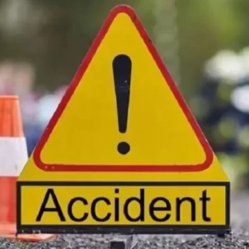 Chandauli Tragedy: Dry Mango Tree Falls on Moving Tempo, Four Critically Injured