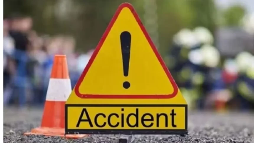 Chandauli Tragedy: Dry Mango Tree Falls on Moving Tempo, Four Critically Injured