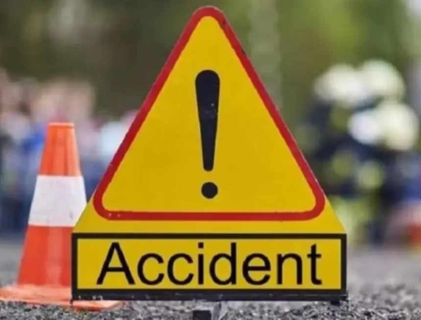 accident-2 Chandauli Tragedy: Dry Mango Tree Falls on Moving Tempo, Four Critically Injured