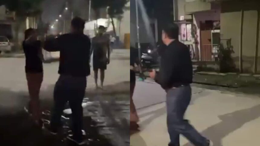 Ghaziabad Man Slaps Woman 8 Times for Feeding Stray Dogs, Video Goes Viral