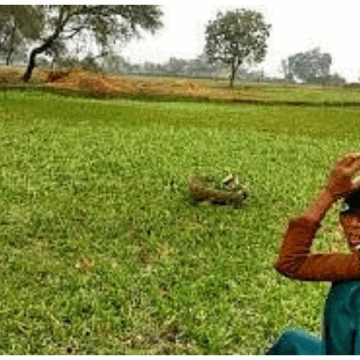 Punjab Govt To Allow Farmers To Mine And Sell Sand From Flood-Hit Fields: Manish Sisodia