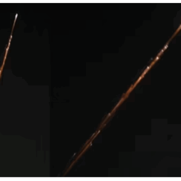 Bright Meteor Streaks Across Delhi NCR Sky, Residents Capture Stunning Celestial Display