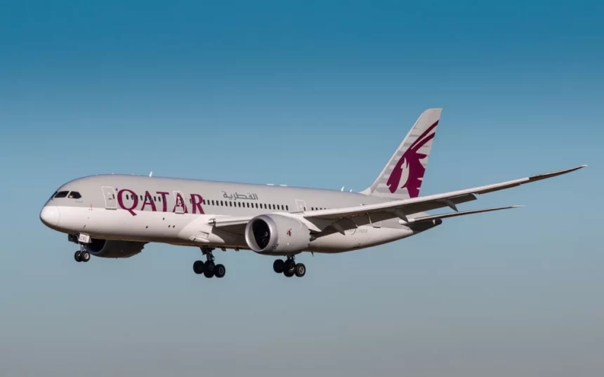 Strict Vegetarian Dies Mid-Flight After Being Told to “Eat Around” Meat on Qatar Airways