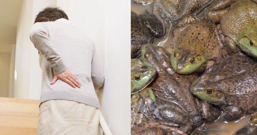 Chinese Woman Hospitalized After Swallowing Eight Live Frogs in Folk Remedy for Back Pain