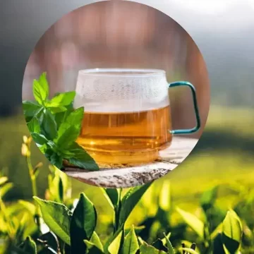 FSSAI Tightens Tea Labelling Norms, Says Only Camellia Sinensis Qualifies as ‘Tea’
