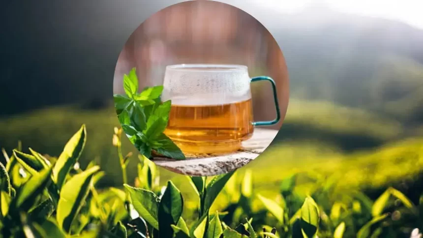 FSSAI Tightens Tea Labelling Norms, Says Only Camellia Sinensis Qualifies as ‘Tea’
