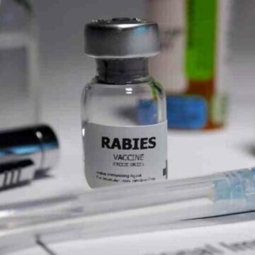 Australia Flags Possible Counterfeit Rabies Vaccine in India, Manufacturer Rejects Claims and Calls Alert Overstated