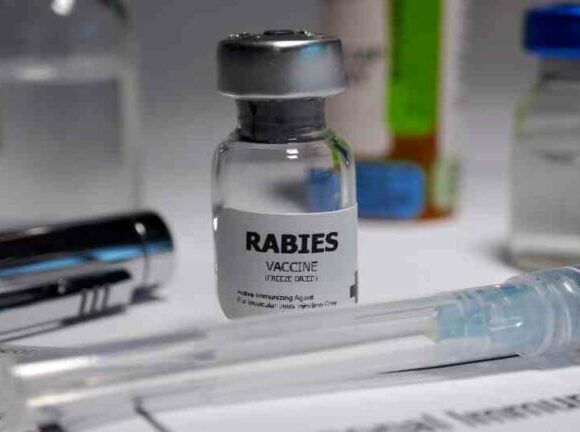 Australia Flags Possible Counterfeit Rabies Vaccine in India, Manufacturer Rejects Claims and Calls Alert Overstated