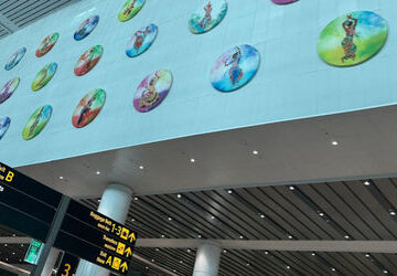 navitaire-outage-disrupts-airline-operations-in-india,-apas-and-europe,-delhi-airport-check-ins-affected