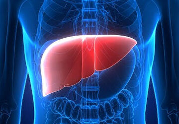 lower-protein-intake-may-slow-liver-tumour-growth,-study-finds
