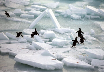 china’s-air-pollution-cuts-linked-to-faster-global-warming,-finds-study