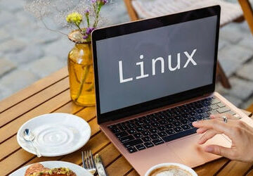france-plans-to-replace-microsoft-windows-with-linux-in-government-offices