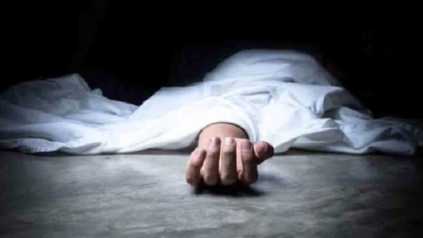 Indian Student Killed in Tragic Highway Crash Near Chicago, Six Others Injured