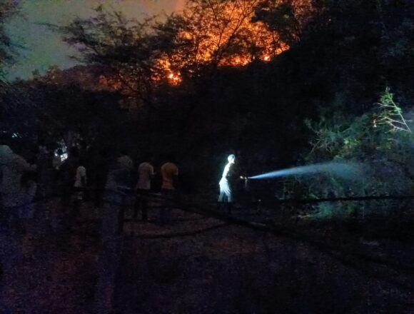 Undavalli Hill Fire Near Andhra Pradesh CM’s Camp Office Brought Under Control After Swift Response