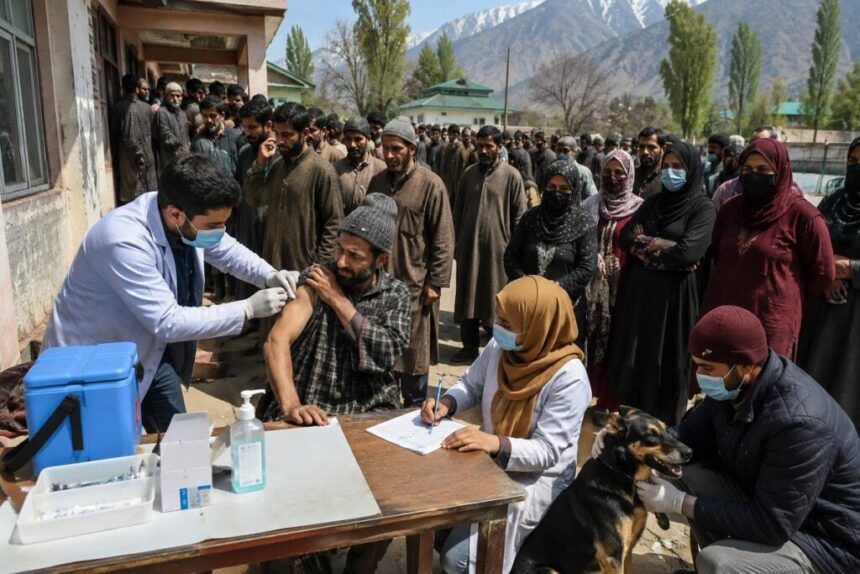 Suspected Rabid Meat Consumption Sparks Panic in Jammu and Kashmir Village; Over 250 Residents Given Preventive Vaccination