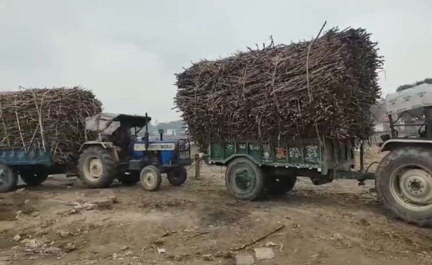 India Extends Sugar Export Ban Until September Amid Supply and Price Stability Concerns