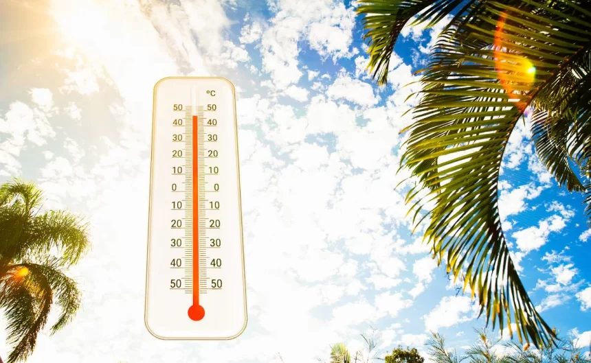 o8m1i9ko_heatwave-alert-_625x300_12_March_25 Delhi Faces Record-Breaking Heat as Summer Begins With Unprecedented Warm Nights