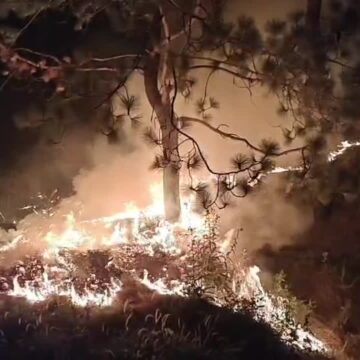 thumb_721 IAF Helicopters Join Massive Operation to Battle Devastating Forest Fire in Kasauli