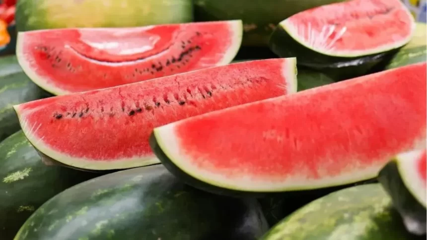 Teen Dies, Three Children Fall Sick After Consuming Watermelon in Chhattisgarh; Authorities Probe Possible Food Contamination