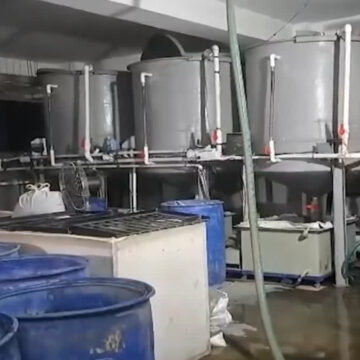 Three Workers Die After Inhaling Toxic Gas in Delhi Factory Septic Tank; Family Alleges Safety Negligence