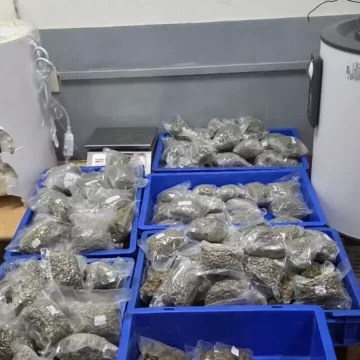 1500x900_1784580-hkqwqs9beaan4z Hydroponic Cannabis Worth ₹5.38 Crore Hidden Inside Geysers Seized at Delhi Airport; Smuggling Network Under Investigation