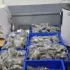 Hydroponic Cannabis Worth ₹5.38 Crore Hidden Inside Geysers Seized at Delhi Airport; Smuggling Network Under Investigation