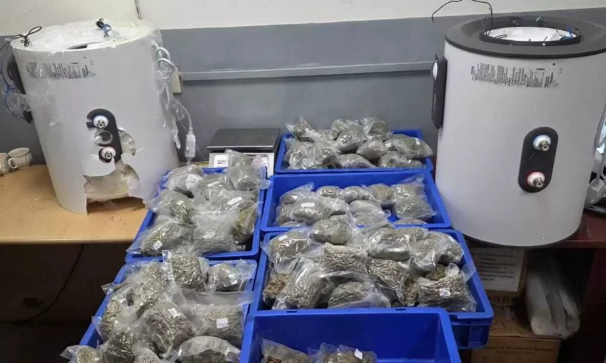 1500x900_1784580-hkqwqs9beaan4z Hydroponic Cannabis Worth ₹5.38 Crore Hidden Inside Geysers Seized at Delhi Airport; Smuggling Network Under Investigation