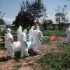 Congo’s Ebola Crisis Deepens as Confirmed Cases Surpass 1,000, Death Toll Reaches 254