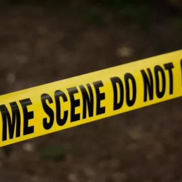1936421-crime Delhi Police Arrest Woman Accused of Sending Over 200 Bomb Threat Emails Across the Capital