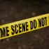 Delhi Police Arrest Woman Accused of Sending Over 200 Bomb Threat Emails Across the Capital