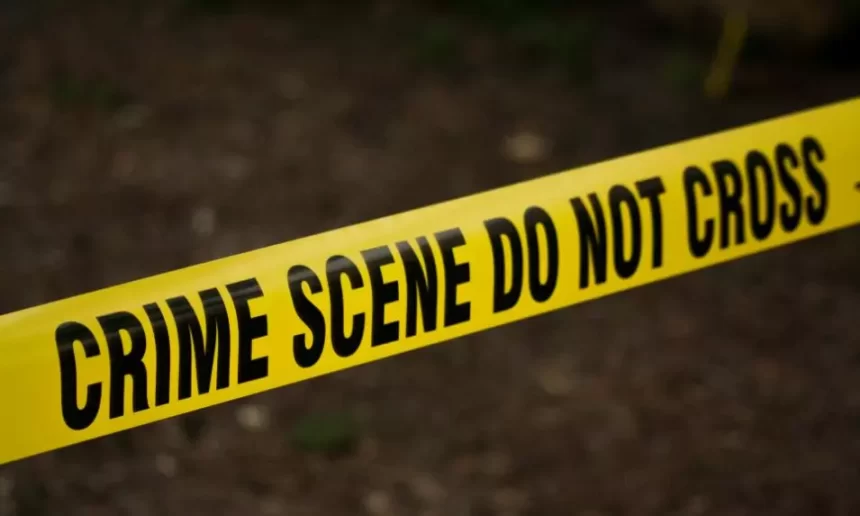 Delhi Police Arrest Woman Accused of Sending Over 200 Bomb Threat Emails Across the Capital