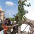 Seven Killed, Around 30 Injured After Under-Construction Hanuman Temple Roof Collapses in Maharashtra
