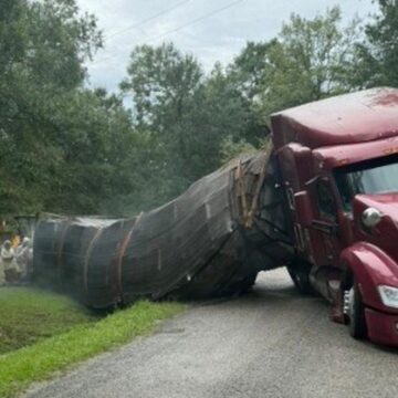 6a39956e3f1b6.image 24 Million Honeybees Escape After Truck Overturns in Texas, Residential Area Put on Alert
