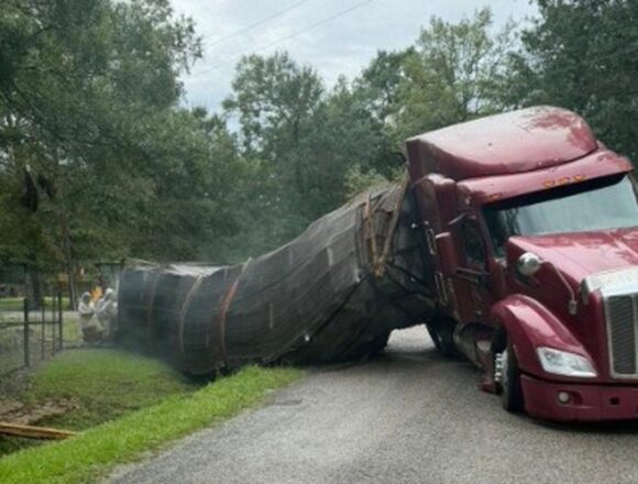 24 Million Honeybees Escape After Truck Overturns in Texas, Residential Area Put on Alert