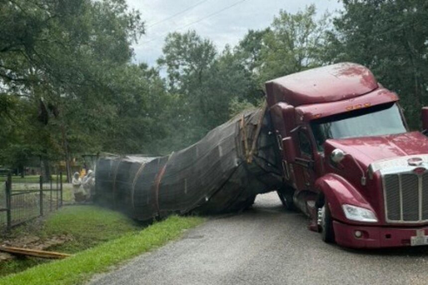 6a39956e3f1b6.image 24 Million Honeybees Escape After Truck Overturns in Texas, Residential Area Put on Alert