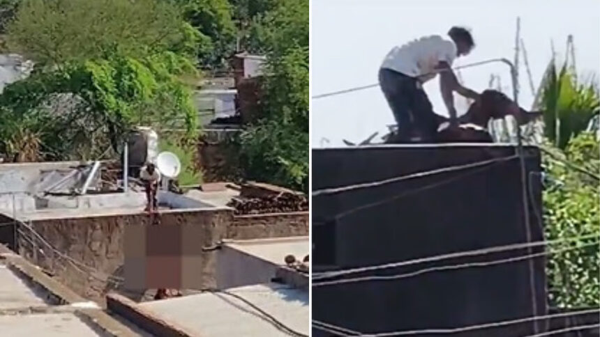 Add-a-subheading-2026-06-06T123242.783 Madhya Pradesh Horror: Rejected Lover Attacks Teen Girl, Allegedly Tries to Hang Her in Broad Daylight in Shivpuri