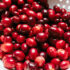 Cranberries and Gut Health: Gastroenterologist Explains the Benefits, Risks, and Best Ways to Include Them in Your Diet
