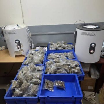 images (8) Hydroponic Cannabis Worth ₹4.83 Crore Seized at Delhi Airport; International Passenger Arrested