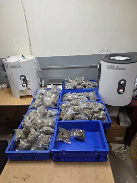 images (8) Hydroponic Cannabis Worth ₹4.83 Crore Seized at Delhi Airport; International Passenger Arrested