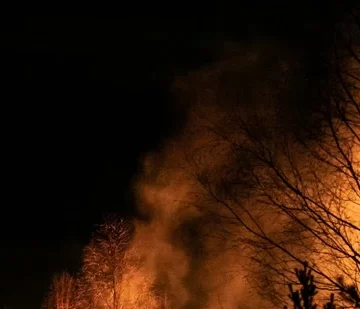 California’s Deer Fire Triggers Panic as Massive Vegetation Blaze Sends Thick Smoke Across Antioch Region