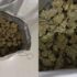 Kerala Police Seize 18 Kg of Suspected Hybrid Ganja; Investigation Points to International Drug Supply Network