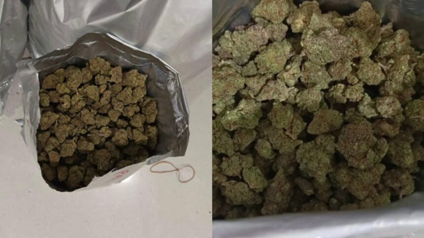 Kerala Police Seize 18 Kg of Suspected Hybrid Ganja; Investigation Points to International Drug Supply Network